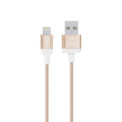 TEAM APPLE LIGHTNING CABLE 1.8